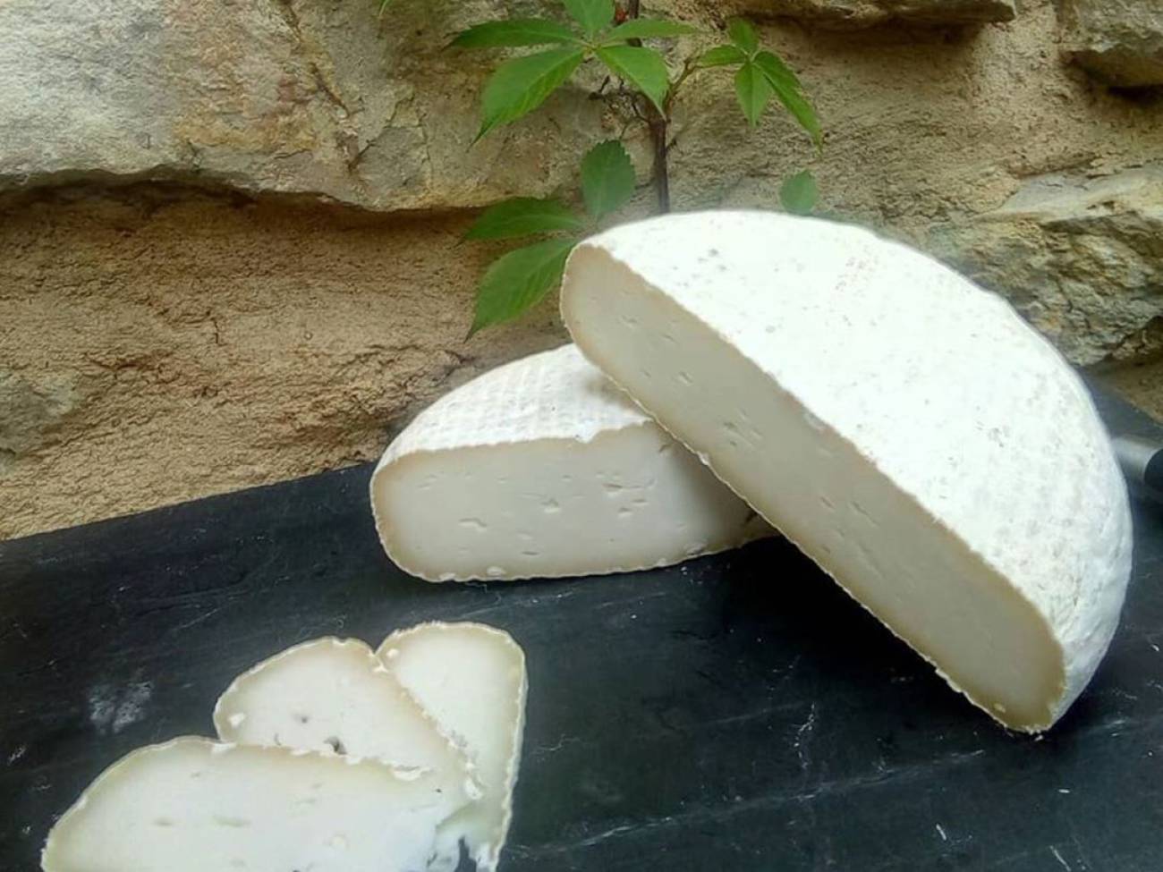 #2.23 Quesos de pueblo: Productos alimentarios artesanales para reactivar la vida rural, con La dicha marbana y Repueblo